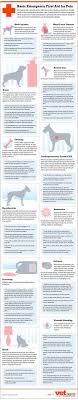 Maybe you would like to learn more about one of these? Basic Emergency First Aid For Pets Dog Care Pets Dog Chart