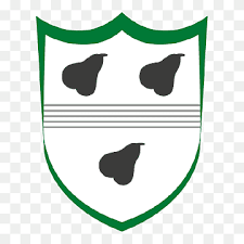 As the three lions are officially a royal emblem, the fa has to seek permission of the royal family when they need to use it, meaning that the logo is not the sole propriety of the organisation that it represents. County Cricket Png Images Pngwing