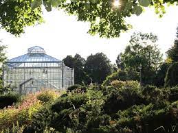 Die gewächshäuser sind wieder geöffnet! Botanischer Volkspark Blankenfelde Pankow