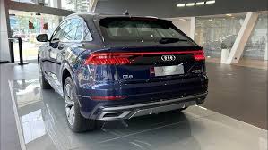 Image result for Navarra Blue 2022 Q8