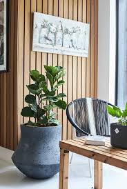 7 Indoor Plants That Create A Healthy Home Environment Home Decor Wall Art Indoor Plants Home Decor