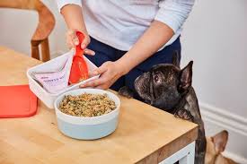 Check spelling or type a new query. How Much Food To Feed Your Dog Ollie Blog