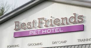 They were pets of either disney cast members or best friends associates. Everything You Need To Know About Bringing Your Pets To Disney World The Disney Food Blog