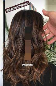 new hairstyle and color ideas for 2019 just trendy girls brown color balayage brown things brown trend hair styles brown hair balayage long hair styles