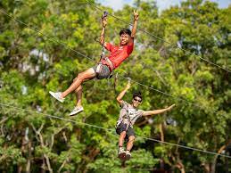 Help the cute teddy to walk safely through the forest in forest adventure one of the most engaging and fascinating games. Things To Do With Kids In Singapore Family Fun At Forest Adventure