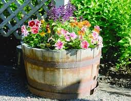 Container gardening with grandchildren