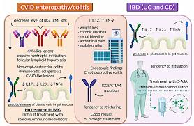 Image result for Humoral Immunodeficiency