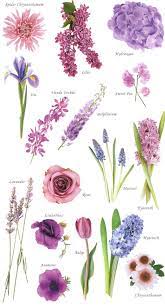 Purple Flowers Flower Names Flower Guide Flower Arrangements