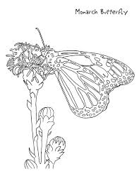 These free, printable halloween coloring pages for kids—plus some online coloring resources—are great for the home and classroom. Monarch Butterfly Coloring Page For Kids Free Printable Picture