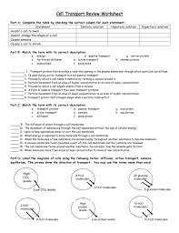 Statement match the term with its correct description: Cell Transport Review Worksheet