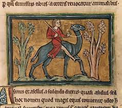 For example, it could cost as much as a small village, or 500 pigs, or 100 bales of hay. All About Ancient Camels Medieval Manuscripts Blog