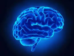 Most strokes happen because a blood clot blocks a blood vessel in the brain or neck. Is It Fatigue Or A Stroke Women Shouldn T Ignore These Warning Signs American Heart Association
