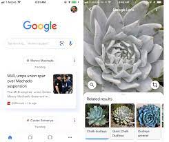 We did not find results for: Using The Google Search App For Plant Identification Root Simple