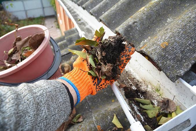 Everything You Need to Know About Cleaning Out the Gutters