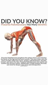 Emily Im Sending You All Of These So You Your Family Can Stretch Together So Healthy Relieves Stress Yogaposes In 2020 Yoga Anatomy Yoga Benefits Yoga Postures