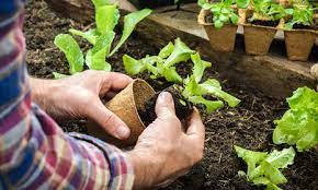 Finde deine perfekte erdgeschosswohnung mit garten in wiesbaden mit meinestadt.de und informiere dich über alles wichtige, was es vor dem einzug zu beachten gilt. Freizeitgarten Pachten Landeshauptstadt Wiesbaden
