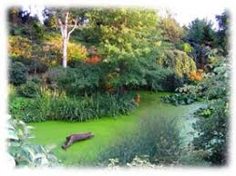 Consulta 40 fotos y videos de le jardin du bois marquis tomados por miembros de tripadvisor. Le Jardin Du Bois Marquis