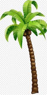 Cartoon coconut trees 3d model. Coconut Tree Cartoon