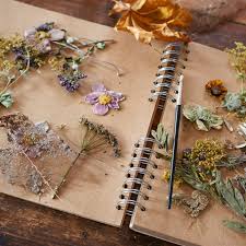 The flower bundles can then be hung from a nail, coat hanger, or some other object that will hold once removed from the glycerin, if the plant looks a bit wilted, it can be hung upside down so that the. How To Dry And Press Flowers