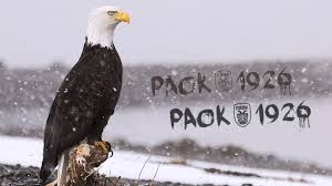 Paok as a 3d name text wallpaper! Paok Eagle Wallpaper Hd Ps4wallpapers Com
