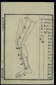 File Acu Moxa Chart Spleen Channel Of Foot Taiyin In The