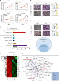 targeting of lipid metabolism with a metabolic inhibitor