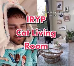 Lady That Made Her Cats A Small Living Room
