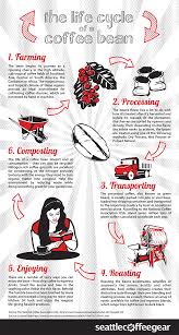 The Lifecycle Of A Coffee Bean Coffee Beans Coffee Facts Seattle Coffee