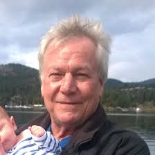 Flying ants in the house, how to get rid of them?