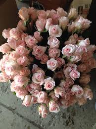 Shop floral supplies 125+ varieties, colors white to purple for your pinterest board Ajf Sam S Club Bridal Bouquet Nalan Com Sg