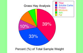 Balancing Equine Forage Diets With Commercial Feeds