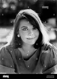 Woman 1966 hi-res stock photography and images