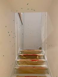 To the guys that wear overalls, what brand do you guys like? Fit true to  size?