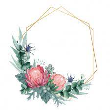 Elegant Protea Floral Frame With Gold Geometric Shape Watercolor Flower Background Floral Poster Protea Flower