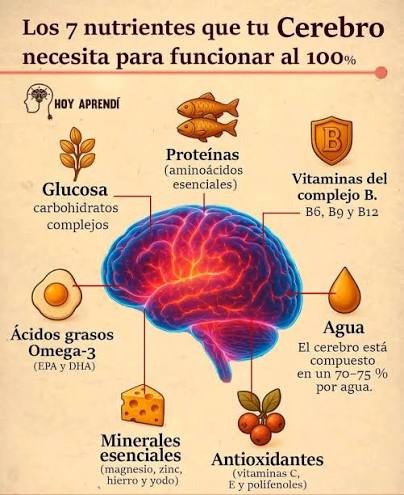 El cerebro humano muestra la composición lipídica más distintiva: el 76% de  los 5 713 compuestos lipídicos examinados...[1] Los lípidos son compuestos  que son insolubles en agua y solubles en solventes orgánicos