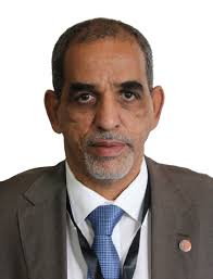 Delegates from the Africa Region