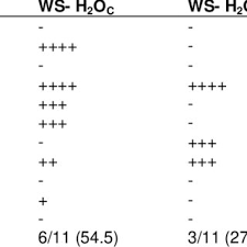 Image result for Rothmannia whitfieldii