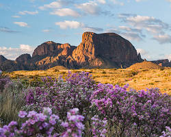 Image of Texas landscape