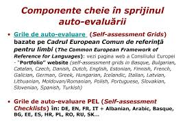 Cadrul european comun împarte cursanții în trei mari diviziuni care pot fi împărțite fiecare în două niveluri au fost create mai multe organizații pentru a servi drept umbrelă pentru școlile de limbi străine și întreprinderile de certificare care pretind compatibilitatea cu cefr. Portofoliul European Al Limbilor Ppt Download