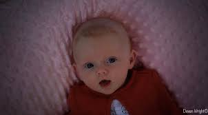 Devan Wright Photography