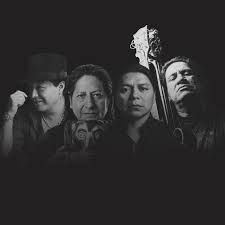 TikTok Statistics of Song Ay, Casi, Casi