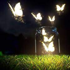 10 Frases Que Resumen El Cortometraje El Circo De La Mariposa Circo De La Mariposa Mariposas Fondos De Pantalla Fondos De Pantalla Naturaleza