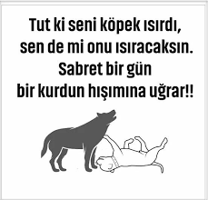 Muzaffer Hancer Adli Kullanicinin Nesihat Sozleri Panosundaki Pin Ilham Verici Alintilar Guzel Soz Gercekler
