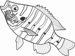 fish coloring pages ile ilgili görsel sonucu
