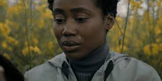 The Virtual Llama — owlinspace