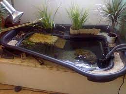 Ein wasserbecken im garten sorgt für eine herrlich erholsame stimmung im eigenen zuhause. Teich Ins Wohnzimmr Bauen Schildkroten