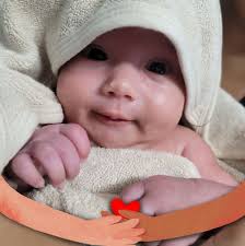 What is the most humane way to cull roosters?