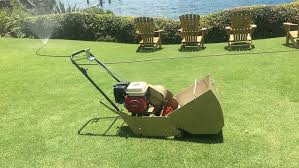 Offering best quality lawn mowers that has lightweight, low noise operation, minimal fuel consumption george town, chennai no. Sydney Roller Mower Centre Lawn Mower Repair Service In Seven Hills