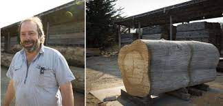 Go tell it on the mountain 4. The Ultimate Arborist Evan Shively In West Marin Remodelista