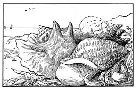 There are tons of great resources for free printable color pages online. Free Printable Ocean Dibujo Para Imprimir Printable Ocean Coloring Pages Dibujo Para Imprimir